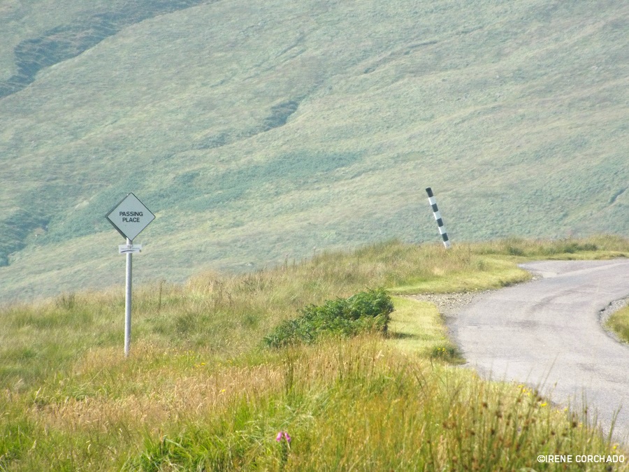 guia para conducir por inglaterra, gales y escocia_passing place