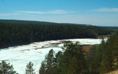 Diario de Siberia III: excursión al glaciar Buluus, taiga y chapuzón en Kuruluur