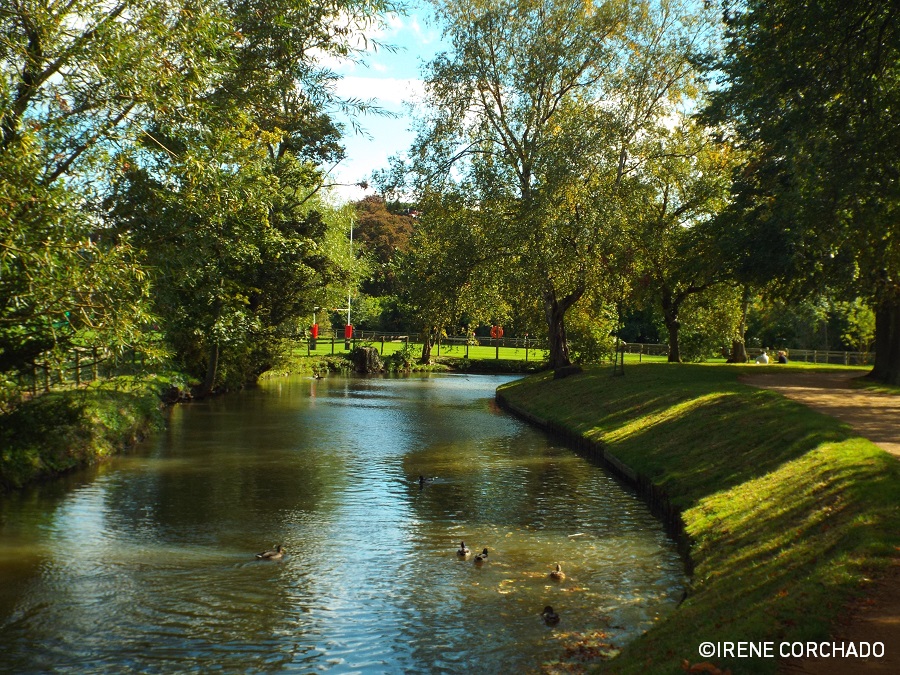 El Oxford de Alicia_Christ Church Meadow