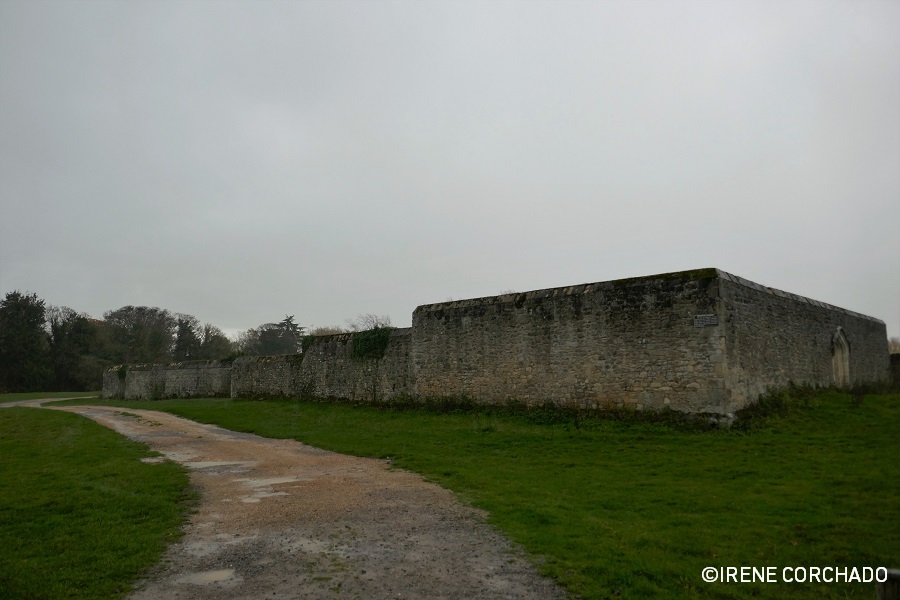 El Oxford de Alicia_Godstow Abbey