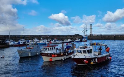 ¿Qué pasa con el pescado y el marisco en el Reino Unido?