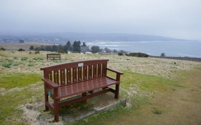 Memorial benches, los bancos en honor de fallecidos